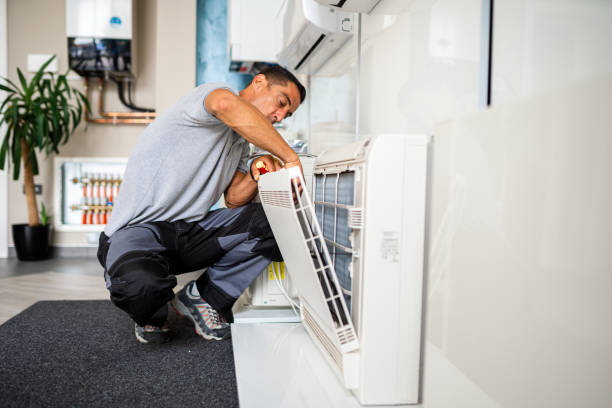 Best Air Duct Mold Removal  in Signal Hill, CA