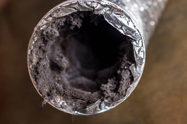 Professional Airduct Cleaning in Signal Hill, CA