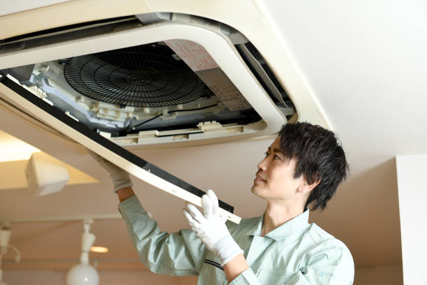 Best Home Air Vent Cleaning  in Signal Hill, CA